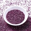 MIYUKI Delica Beads SEED-MY11-DB1880-2