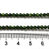 Natural Freshwater Shell Beads Strands SHEL-H003-03A-4