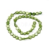 Natural Freshwater Shell Dyed Beads Strands SHEL-K001-001G-3