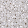 6/0 Glass Seed Beads X1-SEED-A011-4mm-141-2