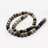 Natural Polychrome Jasper/Picasso Stone/Picasso Jasper Bead Strands G-G667-01-8mm-2