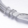 Round Aluminum Wire AW-D009-2.5mm-5m-21-2