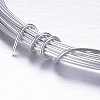 Round Aluminum Craft Wire AW-D009-1mm-10m-21-2