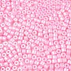 Baking Paint Pearlized Glass Seed Beads SEED-T008-03H-3