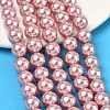 Electroplated Shell Pearl Beads Strands BSHE-G041-10mm-05-5