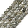 Natural Labradorite Beads Strands G-P623-A03-02-2
