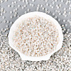 6/0 Glass Seed Beads SEED-N008-07M-2