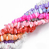 Natural Freshwater Shell Beads Strands SHEL-N003-23-2