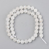 Electroplated Natural White Moonstone Beads Strands G-S369-012C-C-2