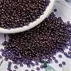 MIYUKI Round Rocailles Beads SEED-JP0009-RR1884-1