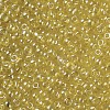 Glass Seed Beads SEED-A006-3mm-110-2