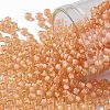 TOHO Round Seed Beads X-SEED-TR08-0301-1