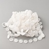 Polyester Lace Ribbon OCOR-WH0111-138B-2