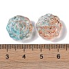 Painted Glass Beads GLAA-S202-14-4