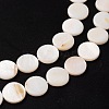 Natural White Shell Beads Strands PBB251Y-2-3
