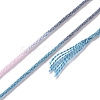 10 Skeins 6-Ply Polyester Embroidery Floss OCOR-K006-A27-3