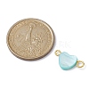 Natural Freshwater Shell Dyed Connector Charms PALLOY-JF02244-01-3