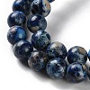 Dyed Natural Regalite/Imperial Jasper/Sea Sediment Jasper Beads Strands G-B124-C01-11-4