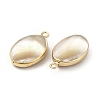 Natural Trochus Shell Charms PEAR-P004-49KCG-3