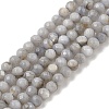 Natural Freshwater Shell Dyed Beads Strands SHEL-R100-12A-04-1