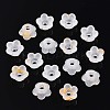 Frosted Transparent Acrylic Beads OACR-N137-72A-2