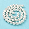 Shell Pearl Bead Strands X-BSHE-L026-03-8mm-4