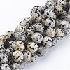 Natural Dalmatian Jasper Beads Strands GSR12mmC004-1