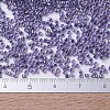 MIYUKI Delica Beads SEED-X0054-DB0250-4