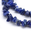 Natural Lapis Lazuli Beads Strands X-G-P332-50-2