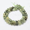 Natural Prehnite Beads Strands G-P322-48-12mm-3