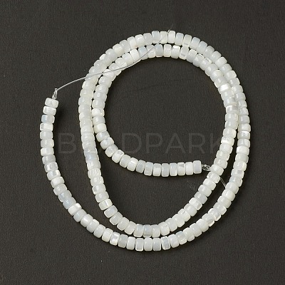Natural Trochid Shell/Trochus Shell Beads BSHE-B005-12-1