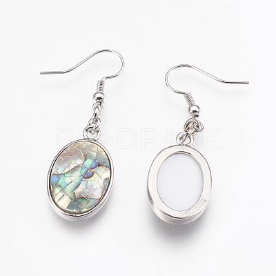 Natural Paua Shell  Dangle Earrings EJEW-F162-B02-1