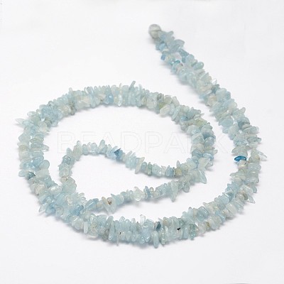 Chips Natural Aquamarine Beads Strands G-N0164-51-1