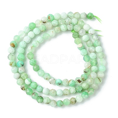 Natural Chrysoprase Beads Strands G-F748-X01-03B-1