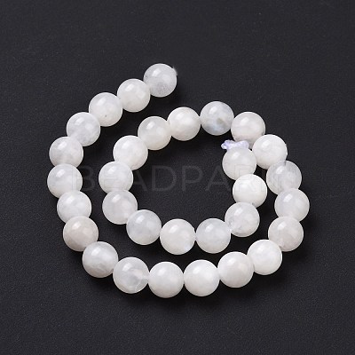 Natural Moonstone Round Beads Strands G-P088-57-10mm-1