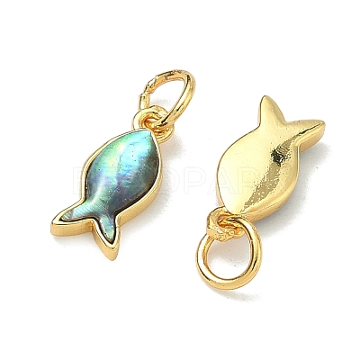 Natural Paua Shell Fish Charms KK-F926-04A-1