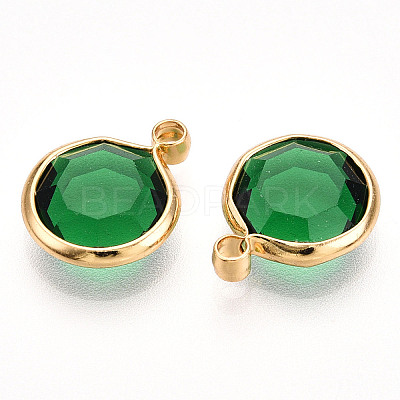 K9 Glass Charms X1-GLAA-T023-37A-06-1
