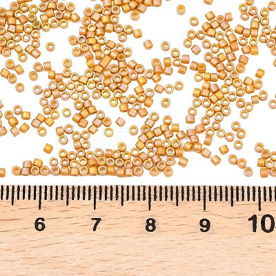 MIYUKI Delica Beads X-SEED-J020-DB2303-1