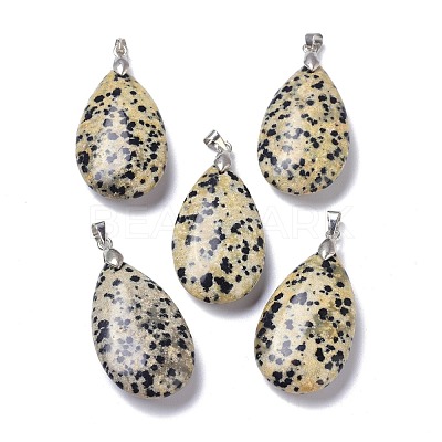 Natural Dalmatian Jasper Pendants G-D084-01P-B09-1