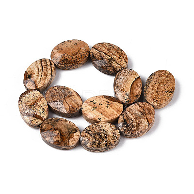 Natural Picture Jasper Beads Strands G-S354-13x18-A06-1