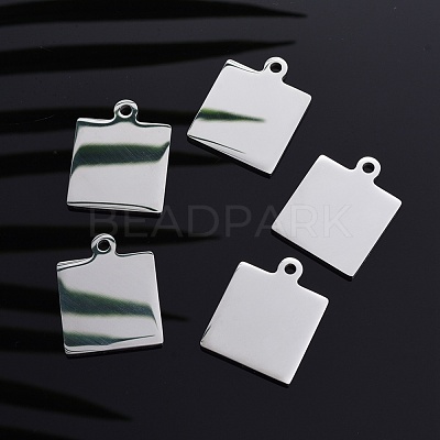 Tarnish Resistant 304 Stainless Steel Pendants STAS-I140-23A-S-1