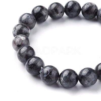Natural Larvikite Beads Stretch Bracelets BJEW-F380-01-C14-1