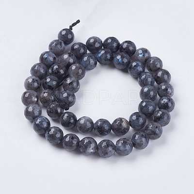 Natural Larvikite Beads Strands G-G542-8mm-27-1