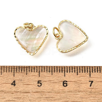 Natural White Shell & Epoxy Resin Charms KK-E794-02G-04-1