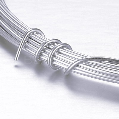 Round Aluminum Craft Wire AW-D009-1mm-10m-21-1