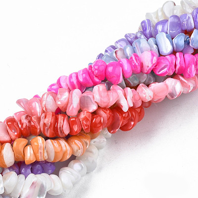 Natural Freshwater Shell Beads Strands SHEL-N003-23-1