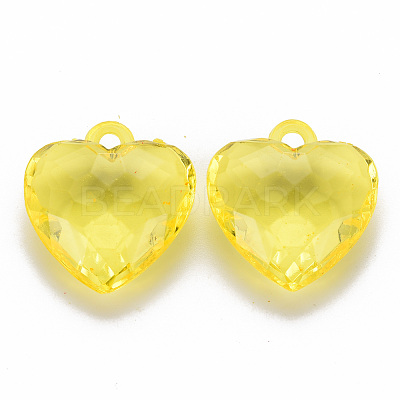 Transparent Acrylic Pendants TACR-T024-03B-916-1