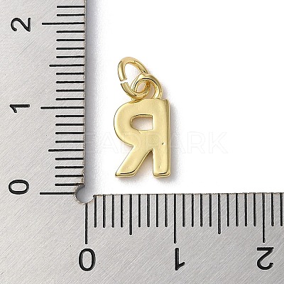 Rack Plating Brass Charms KK-P245-06G-R-1