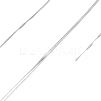 Non-Tarnish 10 Rolls 304 Stainless Steel Wire TWIR-H001-01E-P-1