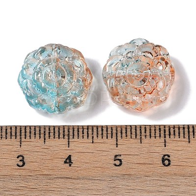 Painted Glass Beads GLAA-S202-14-1